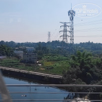 фото из отзыва ID 2741234