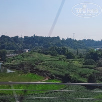 фото из отзыва ID 2741234