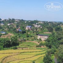 фото из отзыва ID 2741234