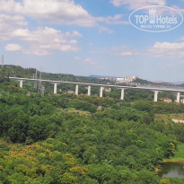 фото из отзыва ID 2741234