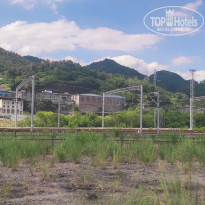 фото из отзыва ID 2741234