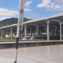 фото из отзыва ID 2741234