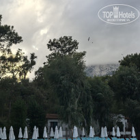 фото из отзыва ID 2741239