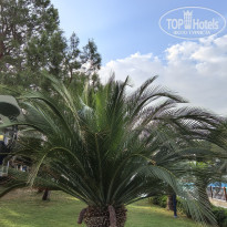 фото из отзыва ID 2741239