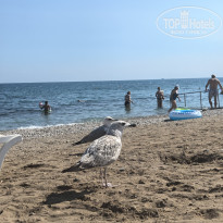 фото из отзыва ID 2741239