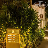 фото из отзыва ID 2741239