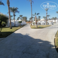 фото из отзыва ID 2741240