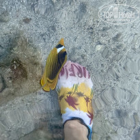 фото из отзыва ID 2741242