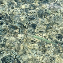 фото из отзыва ID 2741242