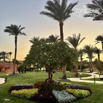 фото из отзыва ID 2741242