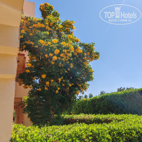 фото из отзыва ID 2741285