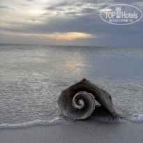 фото из отзыва ID 2741284