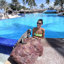 фото из отзыва ID 2741284