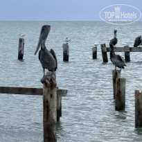 фото из отзыва ID 2741284