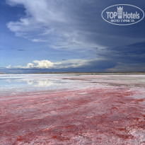 фото из отзыва ID 2741284