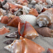 фото из отзыва ID 2741284