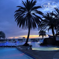 фото из отзыва ID 2741284