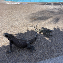 фото из отзыва ID 2741284