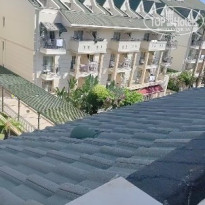 фото из отзыва ID 2741289