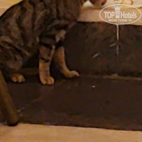 фото из отзыва ID 2741289