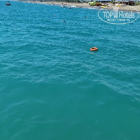 фото из отзыва ID 2741289