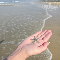 фото из отзыва ID 2741312