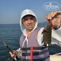 фото из отзыва ID 2741312