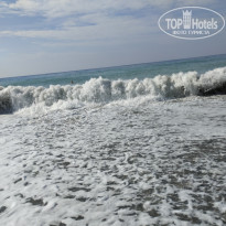 фото из отзыва ID 2741319