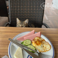 фото из отзыва ID 2741341