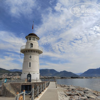 фото из отзыва ID 2741341