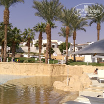 фото из отзыва ID 2741348