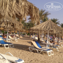 фото из отзыва ID 2741348