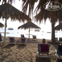 фото из отзыва ID 2741348