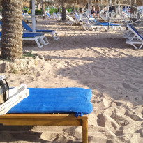 фото из отзыва ID 2741348