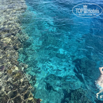 фото из отзыва ID 2741356