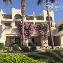 фото из отзыва ID 2741356