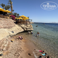 фото из отзыва ID 2741356