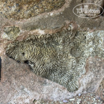 фото из отзыва ID 2741356