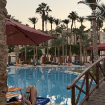 фото из отзыва ID 2741356