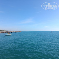 фото из отзыва ID 2741369