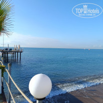 фото из отзыва ID 2741369