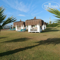 фото из отзыва ID 2741369