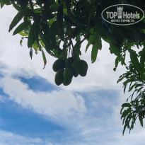 фото из отзыва ID 2741374