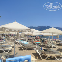 фото из отзыва ID 2741380