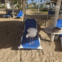 фото из отзыва ID 2741396