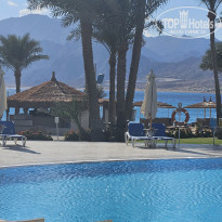 фото из отзыва ID 2741396