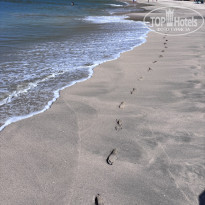 фото из отзыва ID 2741409