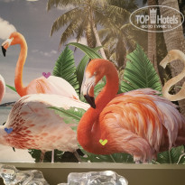 фото из отзыва ID 2740194