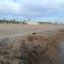 фото из отзыва ID 2740194