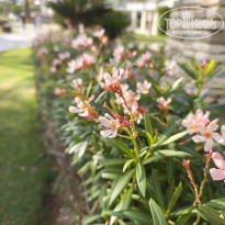 фото из отзыва ID 2741426